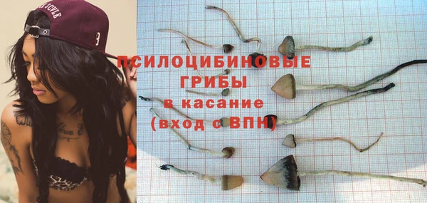 эйфоретик Алексеевка