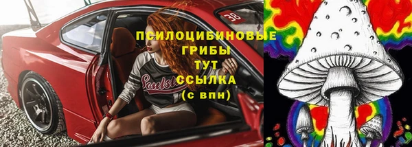 Альфа ПВП Алзамай