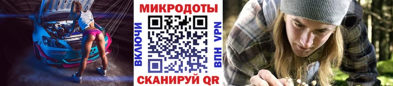 omg зеркало Всеволожск Галлюциногенные грибы Psilocybe