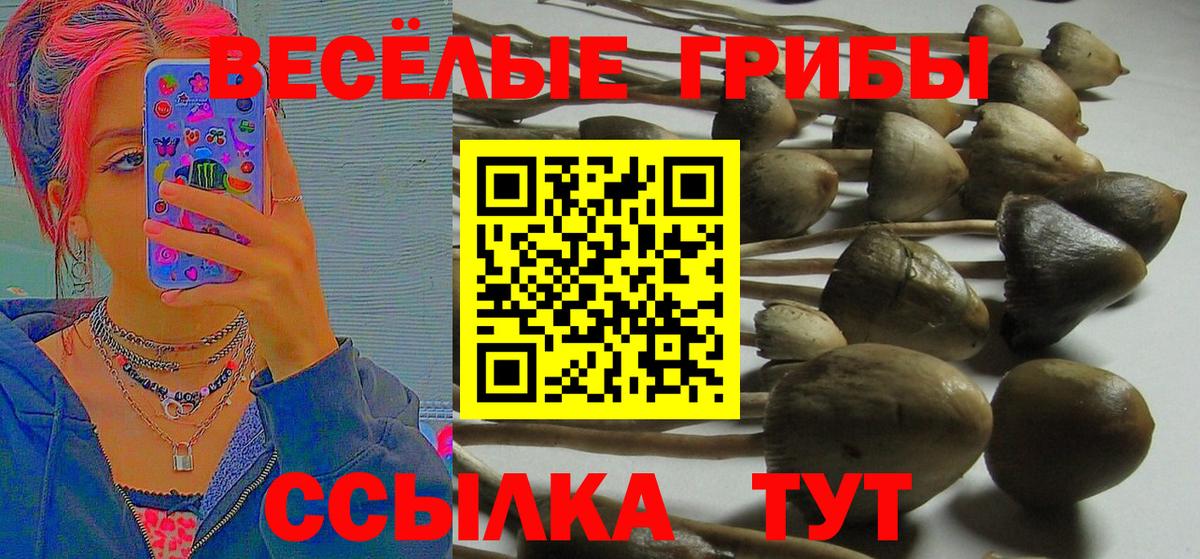 Галлюциногенные грибы мицелий  закладка  Всеволожск  Вход с VPN 
