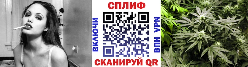 хочу наркоту Всеволожск Каннабис ГИДРОПОН